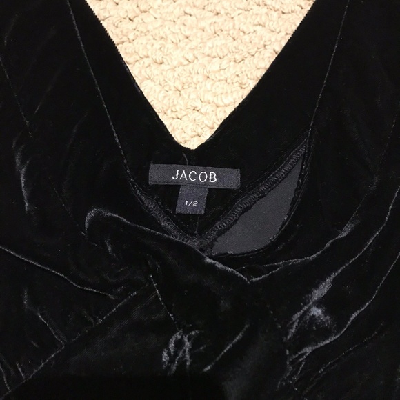 Jacob Velvet Dress - Picture 3 of 4